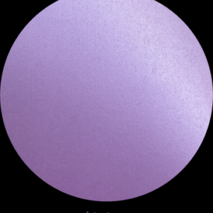 VIOLETA x20hs