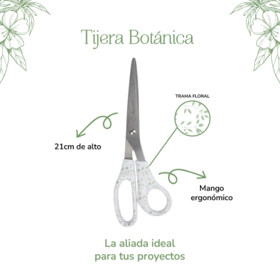 TIJERA BOTANICA MANGO HOJAS
